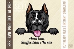 American Staffordshire Terrier - Peeking Dog Color SVG Pet Product Image 1