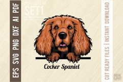 Cocker Spaniel - Peeking Dog Color SVG Pet Vector Portrait Product Image 1