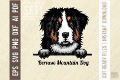 Bernese Mountain - Peeking Dog Color SVG Pet Portrait Product Image 1