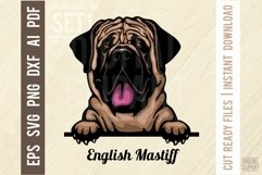 English Mastiff - Peeking Dog Color SVG Pet Vector Portrait Product Image 1