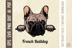 French Bulldog - Peeking Dog Color SVG Pet Vector Portrait Product Image 1