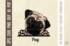 Pug Peeking Dog Color, SVG Color Pet Vector Portrait Product Image 1