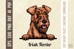 Irish Terrier - Peeking Dog Color SVG Pet Vector Portrait Product Image 1