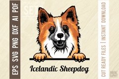 Icelandic Sheepdog - Peeking Dog Color SVG Pet Vector Portra Product Image 1