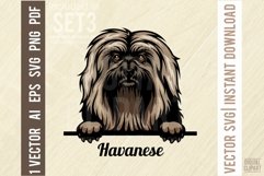 Havanese - Peeking Dog Color SVG Pet Vector Portrait Product Image 1