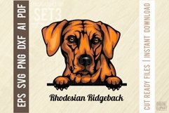 Rhodesian Ridgeback - Peeking Dog Color SVG Pet Portrait Product Image 1