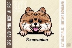 Pomeranian - Peeking Dog Color SVG Pet Portrait Product Image 1