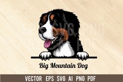 Big Mountain Dog - Peeking Dog Colorful, Pet Portrait SVG Product Image 1
