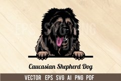 Caucasian Shepherd Dog Peeking Dog, Head dog SVG color Vecto Product Image 1