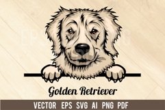Golden Retriever Dog, Head dog SVG color Vector Clipart Product Image 1