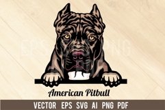 American Pitbull - Peeking Dog Colorful, Pet Portrait SVG Product Image 1