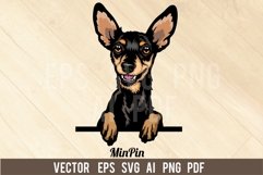 Miniature Pinscher Dog, Head dog SVG color Vector Clipart Product Image 1