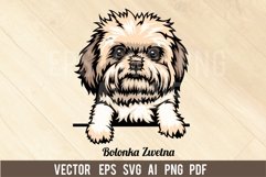 Bolonka Zwetna Dog, Head dog SVG color Vector Clipart Product Image 1