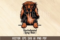 Dachshund Dog, Head dog SVG color Vector Clipart Product Image 1