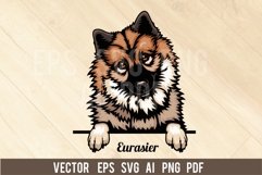 Eurasier Dog, Head dog SVG color Vector Clipart Product Image 1