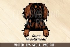 Small Munsterlander Dog, Head dog SVG color Vector Clipart Product Image 1