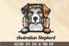 Australian Shepherd - Peeking Dog Colorful, Pet Portrait SVG Product Image 1