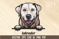 labrador - Peeking Dog Colorful, Pet Portrait SVG Product Image 1