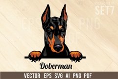Doberman - Peeking Dog Colorful, Pet Portrait SVG Product Image 1