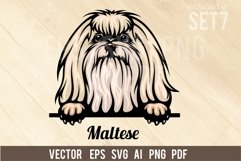 Maltese - Peeking Dog Colorful, Pet Portrait SVG Product Image 1