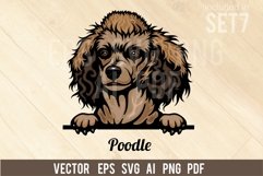 Poodle - Peeking Dog Colorful, Pet Portrait SVG Product Image 1