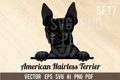 American Hairless Terrier - Peeking Dog Colorful, SVG Product Image 1
