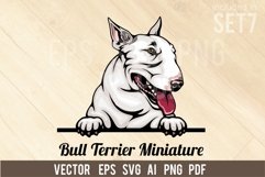 Bull Terrier Miniature - Peeking Dog Colorful, SVG Product Image 1