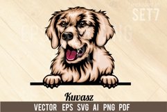 Kuvasz - Peeking Dog Colorful, Pet Portrait SVG Product Image 1