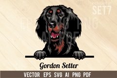 Gordon Setter - Peeking Dog Colorful, Pet Portrait SVG Product Image 1