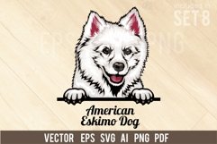 American Eskimo Dog - Peeking Dog Colorful, Pet Portrait SVG Product Image 1