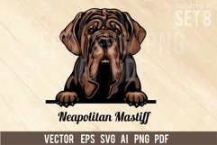 Neapolitan Mastiff - Peeking Dog Colorful, Pet Portrait SVG Product Image 1