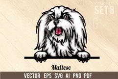 Maltese - Peeking Dog Colorful, Pet Portrait SVG Product Image 1