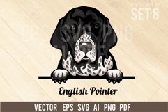 English Pointer - Peeking Dog Colorful, Pet Portrait SVG Product Image 1