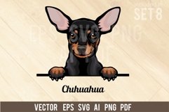 Chuhuahua - Peeking Dog Colorful, Pet Portrait SVG Product Image 1