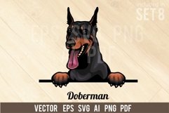 Doberman - Peeking Dog Colorful, Pet Portrait SVG Product Image 1