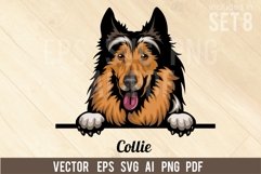 Collie - Peeking Dog Colorful, Pet Portrait SVG Product Image 1