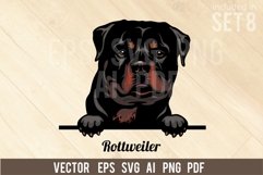 Rottweiler - Peeking Dog Colorful, Pet Portrait SVG Product Image 1