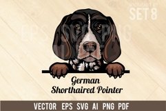 German Shorthaired Pointer - Peeking Dog Colorful SVG Product Image 1