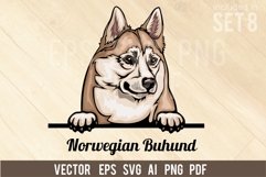 Norwegian Buhund - Peeking Dog Colorful, Pet Portrait SVG Product Image 1
