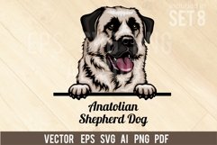 Anatolian Shepherd Dog - Peeking Dog Colorful, Pet Portrait Product Image 1