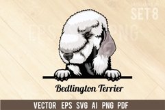 Bedlington Terrier - Peeking Dog Colorful, Pet Portrait SVG Product Image 1