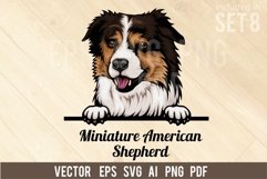 Miniature American Shepherd - Peeking Dog Colorful SVG Product Image 1