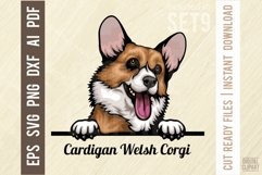 Cardigan Welsh Corgi - Peeking Dog Colorful, Pet Portrait Product Image 1