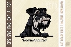 Tsverkshnautser - Peeking Dog Colorful, Pet Portrait SVG Product Image 1