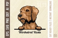 Wirehaired Vizsla - Peeking Dog Colorful, Pet Portrait SVG Product Image 1