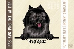 Wolf Spitz - Peeking Dog Colorful, Pet Portrait SVG Product Image 1
