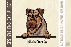 Wales Terrier - Peeking Dog Colorful, Pet Portrait SVG Product Image 1