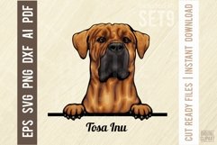 Tosa Inu - Peeking Dog Colorful, Pet Portrait SVG Product Image 1