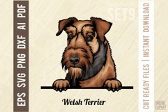 Welsh Terrier - Peeking Dog Colorful, Pet Portrait SVG Product Image 1