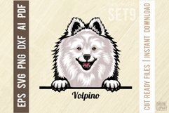 Volpino - Peeking Dog Colorful, Pet Portrait SVG Product Image 1